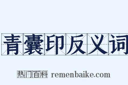 青囊印反义词是什么意思的图片